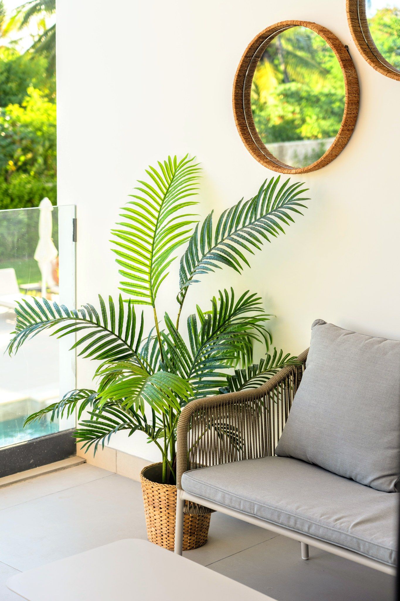 Et værelse med en fletstol, en grå sofa og en potteplante med lange, grønne blade.