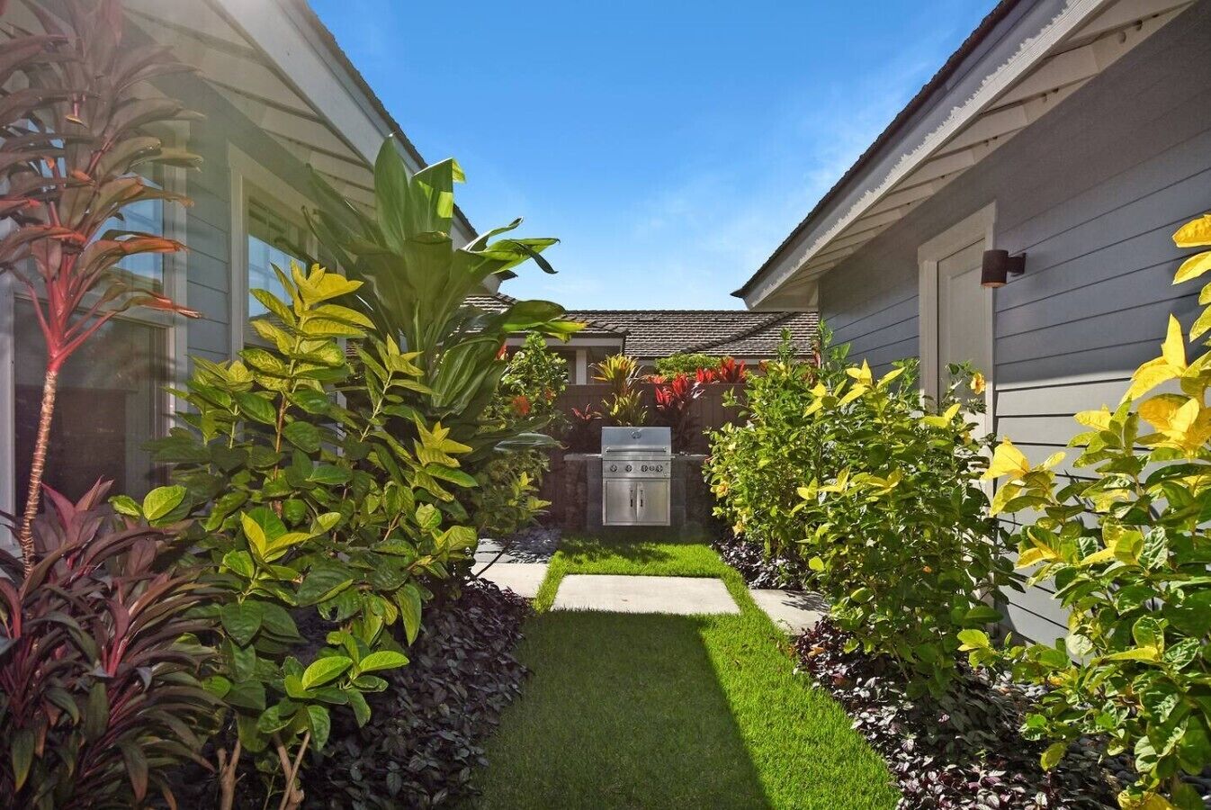 A residential backyard with a lawn, a grill, and various plants.