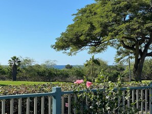 A garden with a large tree, a fence, and a view of the ocean. - Island Time-Luxury Golf Front Home with Pool/Spa (Kailua-Kona)