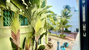 Pátio de hotel com uma grande palmeira, um edifício branco com persianas verdes e área de estar ao ar livre.