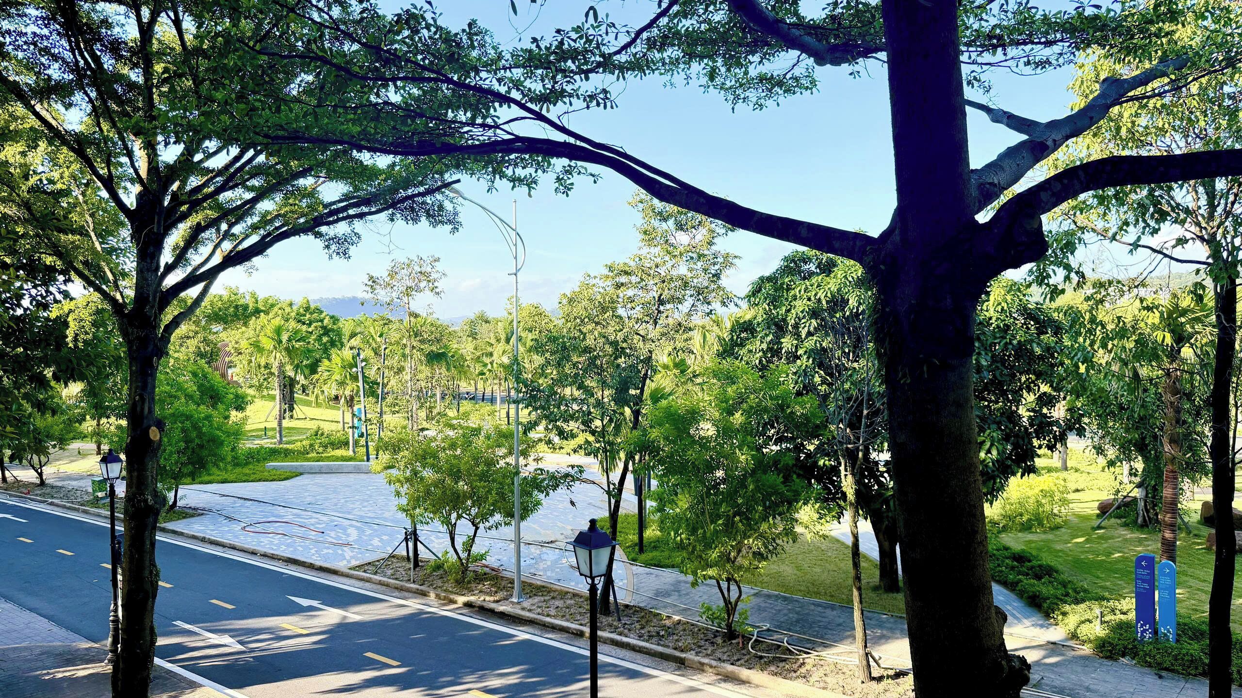 Rua arborizada com céu claro, caminho para pedestres e estrada com setas indicativas.