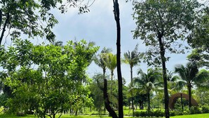 A park with trees, grass, and a paved walkway. - Sweet House Phu Quoc (Phu Quoc)