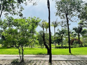 Un parque con árboles, césped y un camino pavimentado.