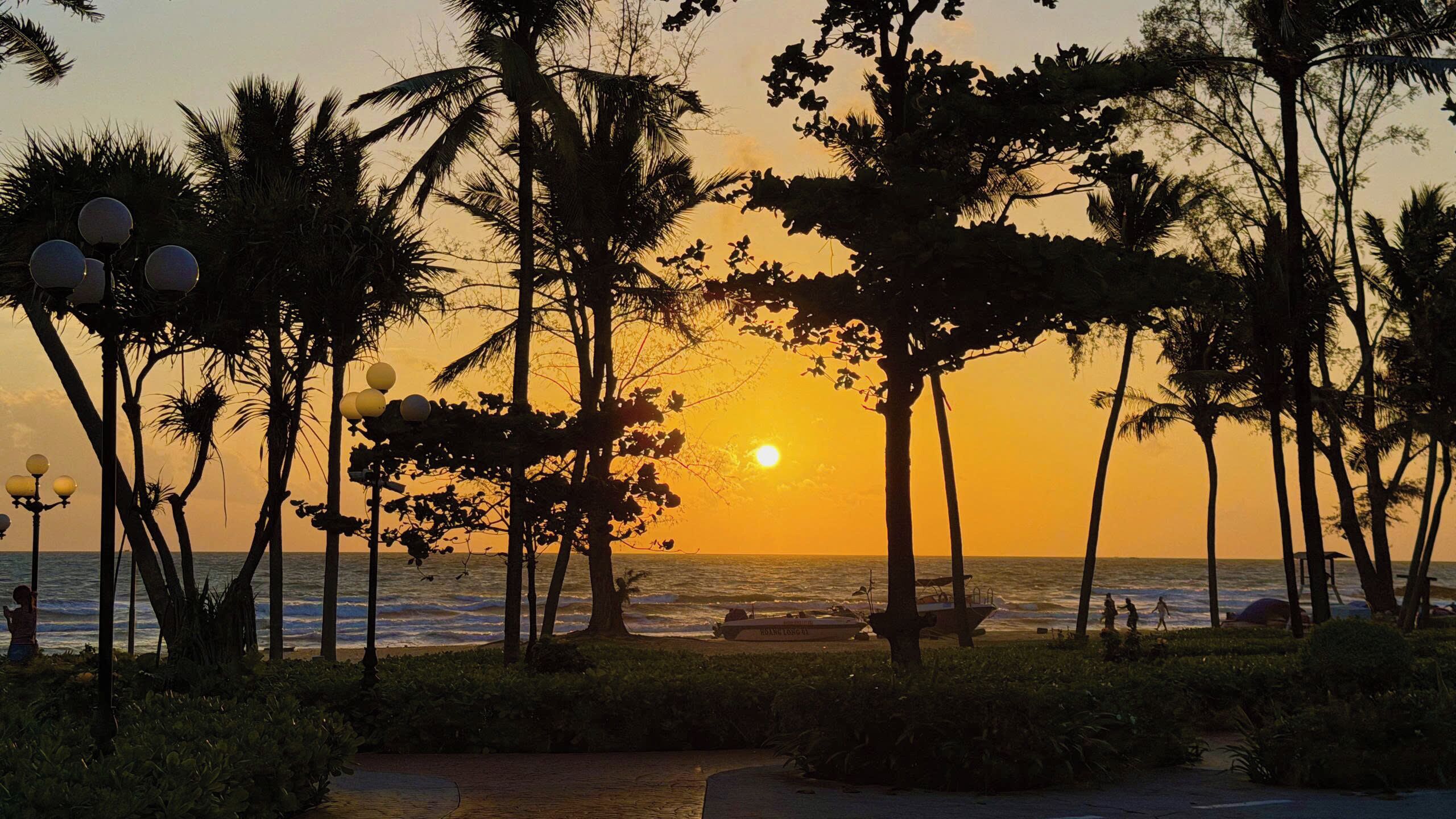 A sunset view with palm trees and a beach.