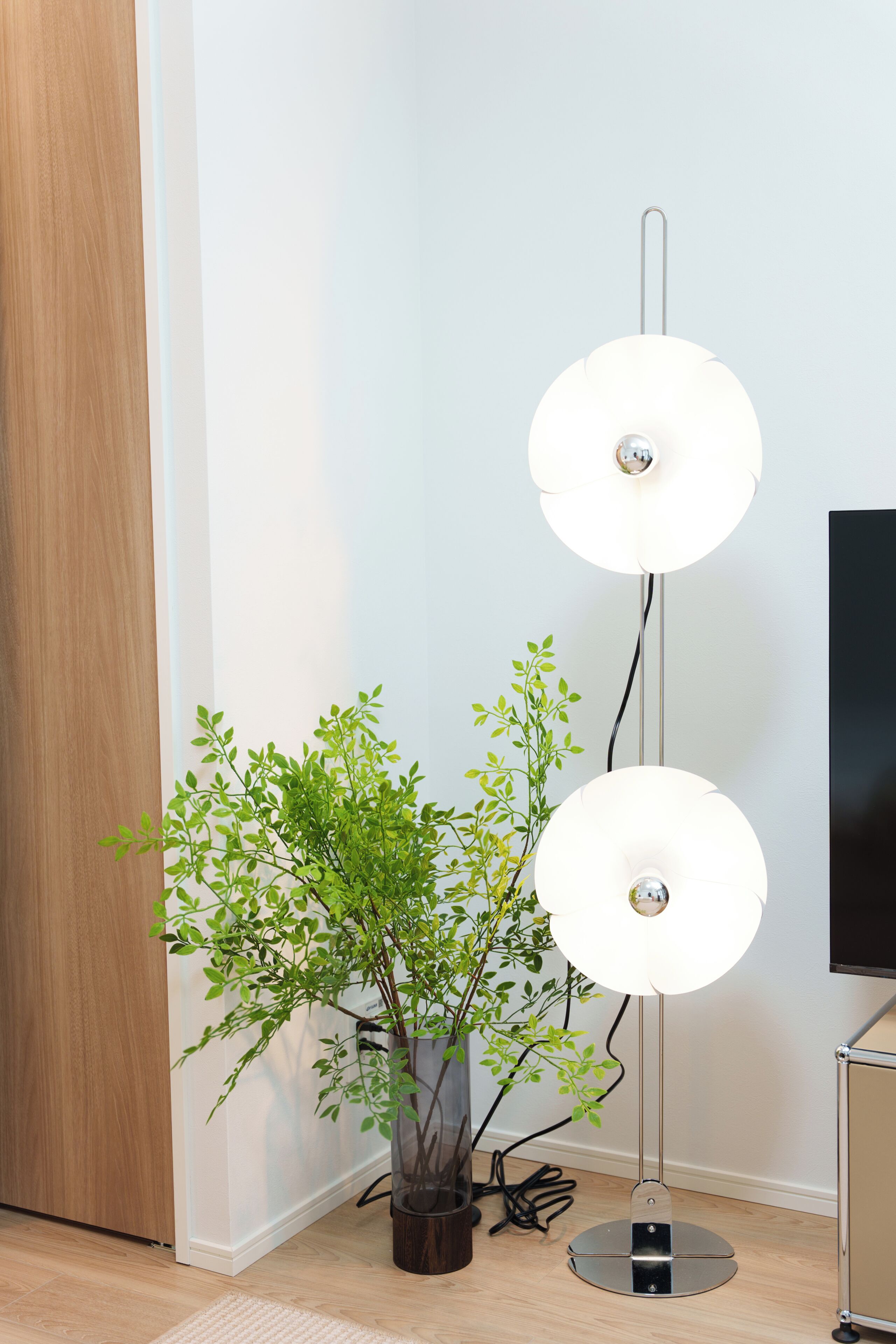 A modern floor lamp with two white shades, a potted plant with green leaves, and a television on a stand.
