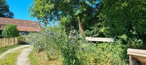 Ein ländlicher Pfad mit einem hölzernen Wegweiser, dichtem Blätterwerk und einem Gebäude mit rotem Ziegeldach im Hintergrund.
