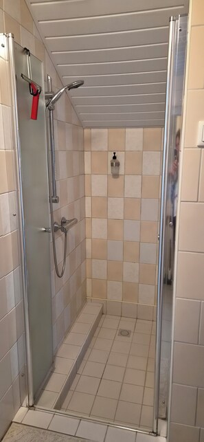 Eine Dusche mit Glastür, Duschkopf und Handbrause.