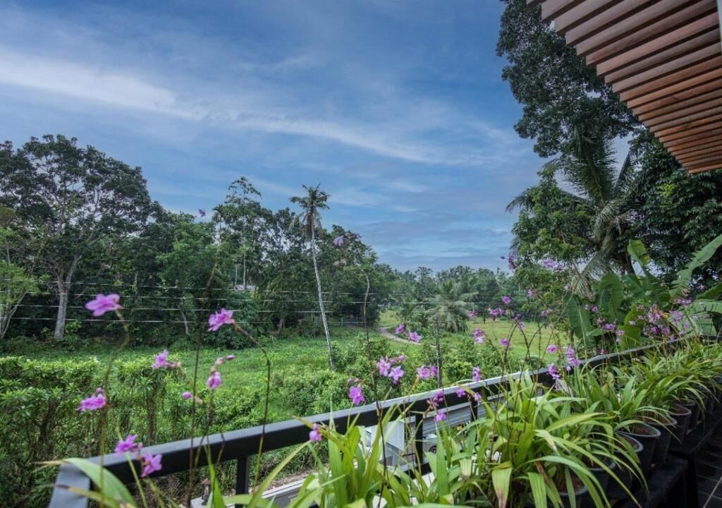 A lush garden with a variety of plants and flowers, a wooden pergola, and a view of the sky.