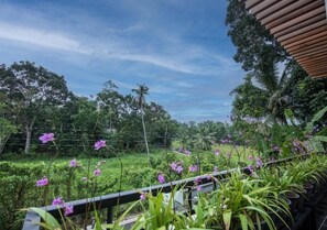 A lush garden with a variety of plants and flowers, a wooden pergola, and a view of the sky.