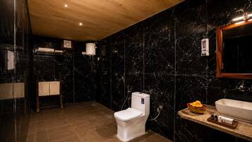 Shower, towels, soap, toilet paper
