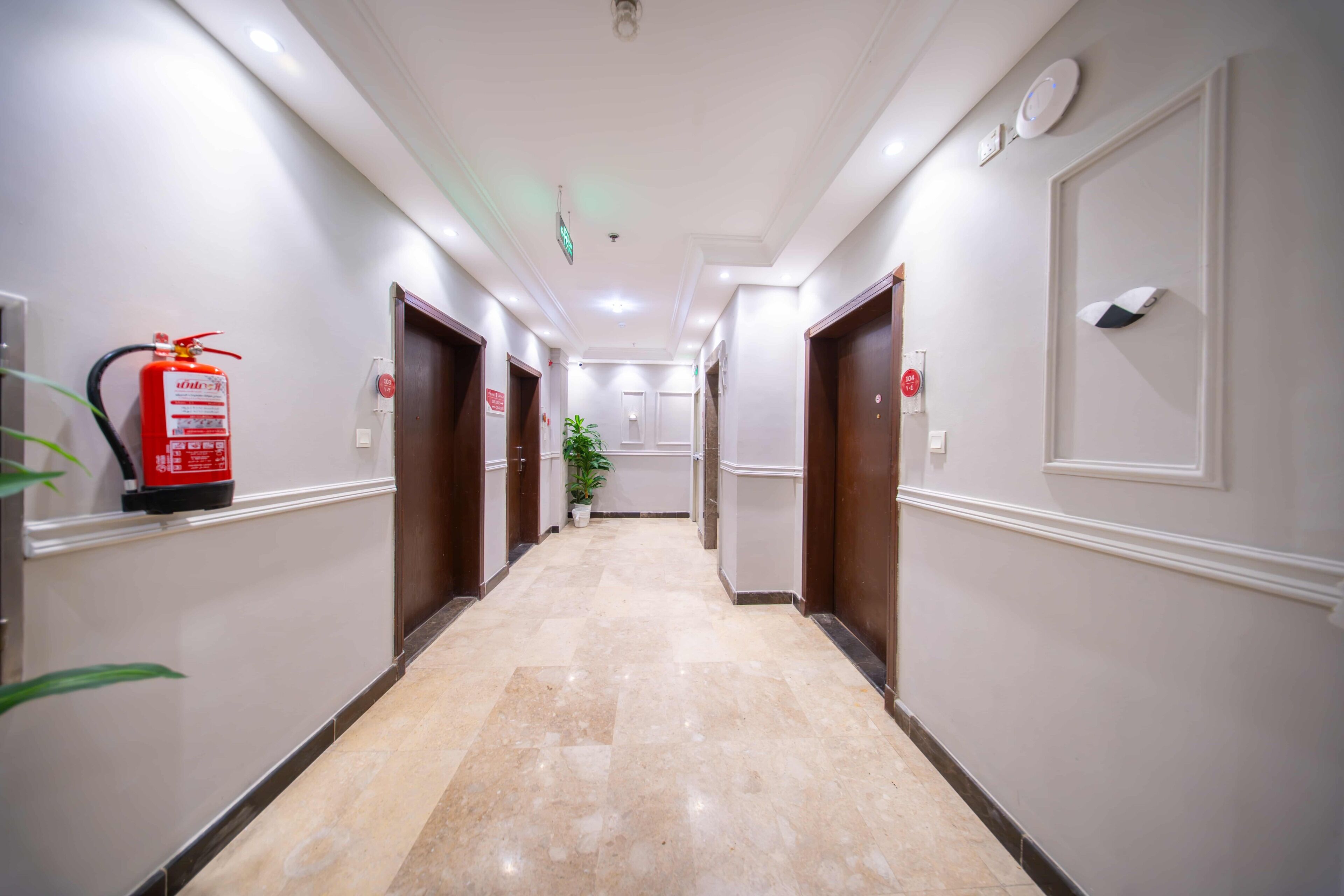 A hotel hallway with doors, a fire extinguisher, and a potted plant.
