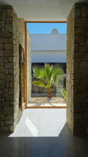 A room with stone walls, a potted palm plant, and a view through a glass door.