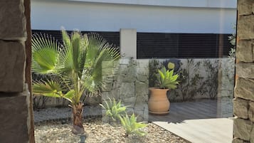Un edificio moderno con fachada de piedra, cielo azul despejado y un jardín con plantas variadas y una maceta grande.