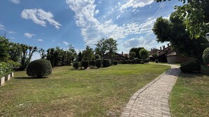 Ein gepflasterter Weg führt durch einen gepflegten Garten mit verschiedenen Sträuchern und blauem Himmel.