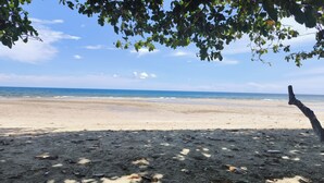 A beach with a clear sky, calm sea, and a tree in the foreground.