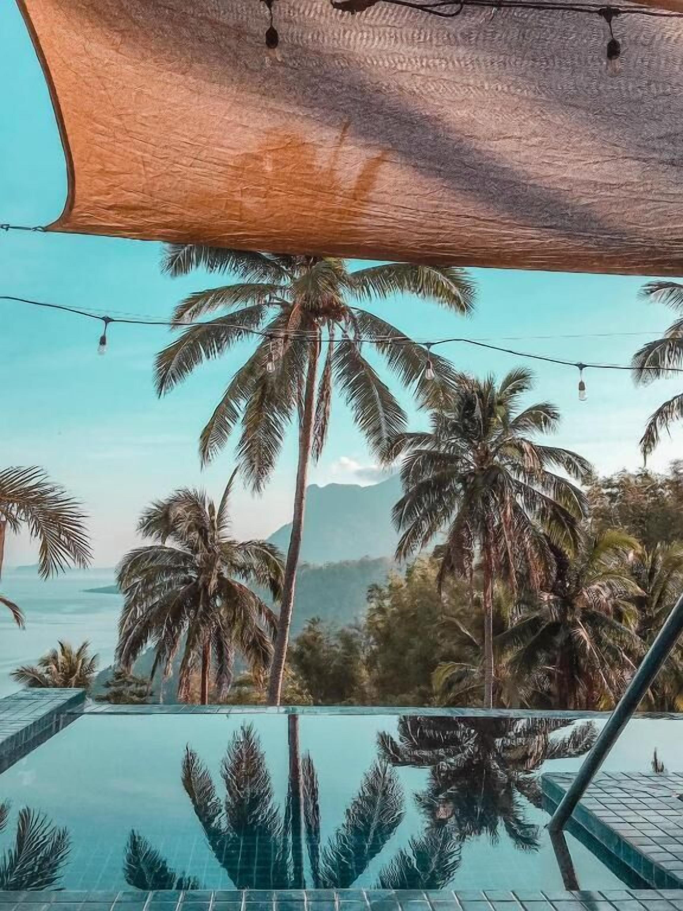 A clear view of a swimming pool with palm trees and a mountain in the background.