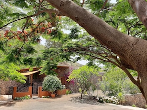 A stone building with a covered entrance, surrounded by lush greenery and trees.
