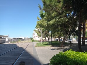 Ein Fußweg mit Holzsteg, Bäumen und blauem Himmel.