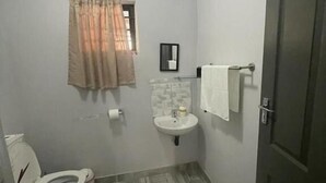 A bathroom with a toilet, sink, and towel rack.