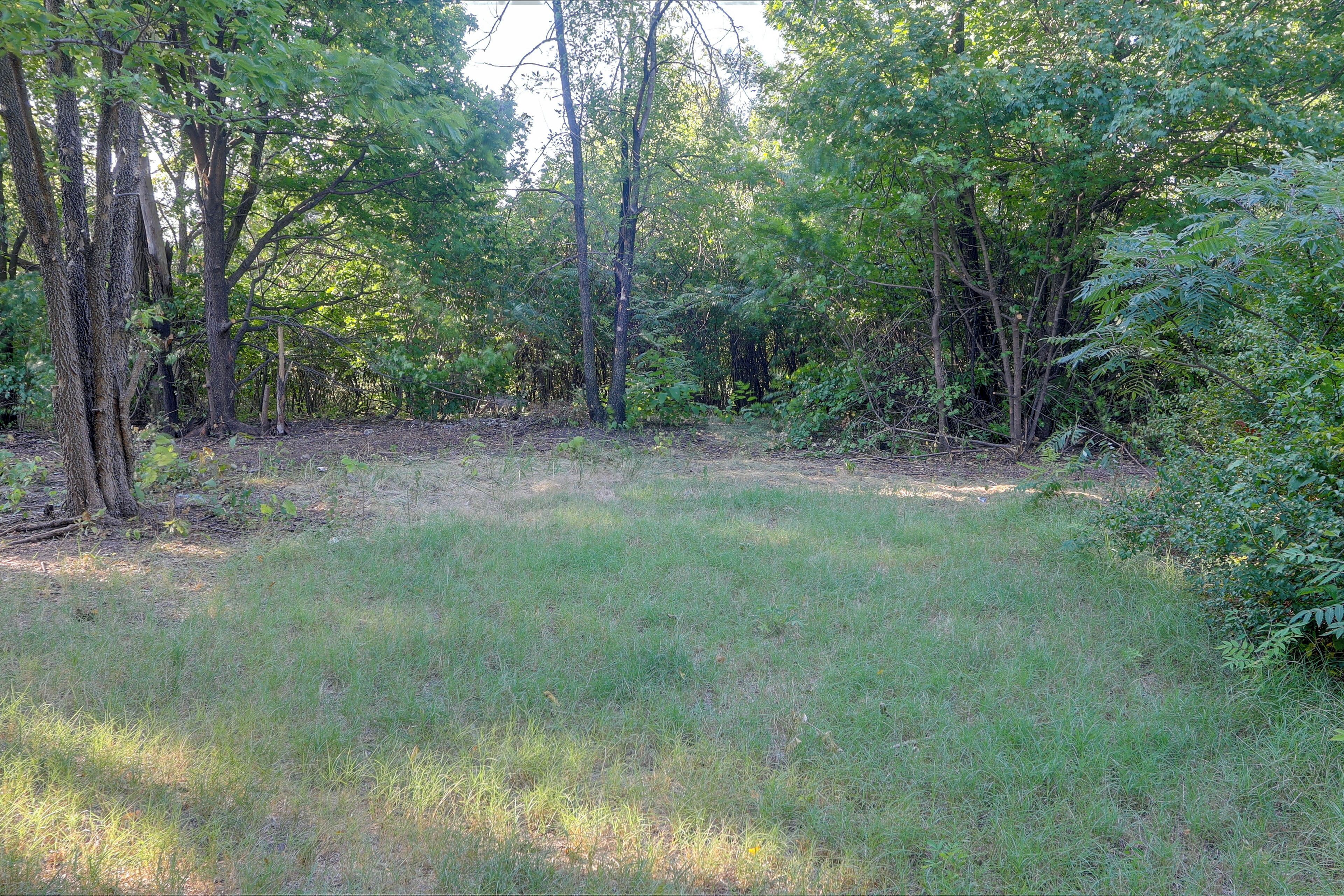 A natural landscape with a grassy area surrounded by trees.