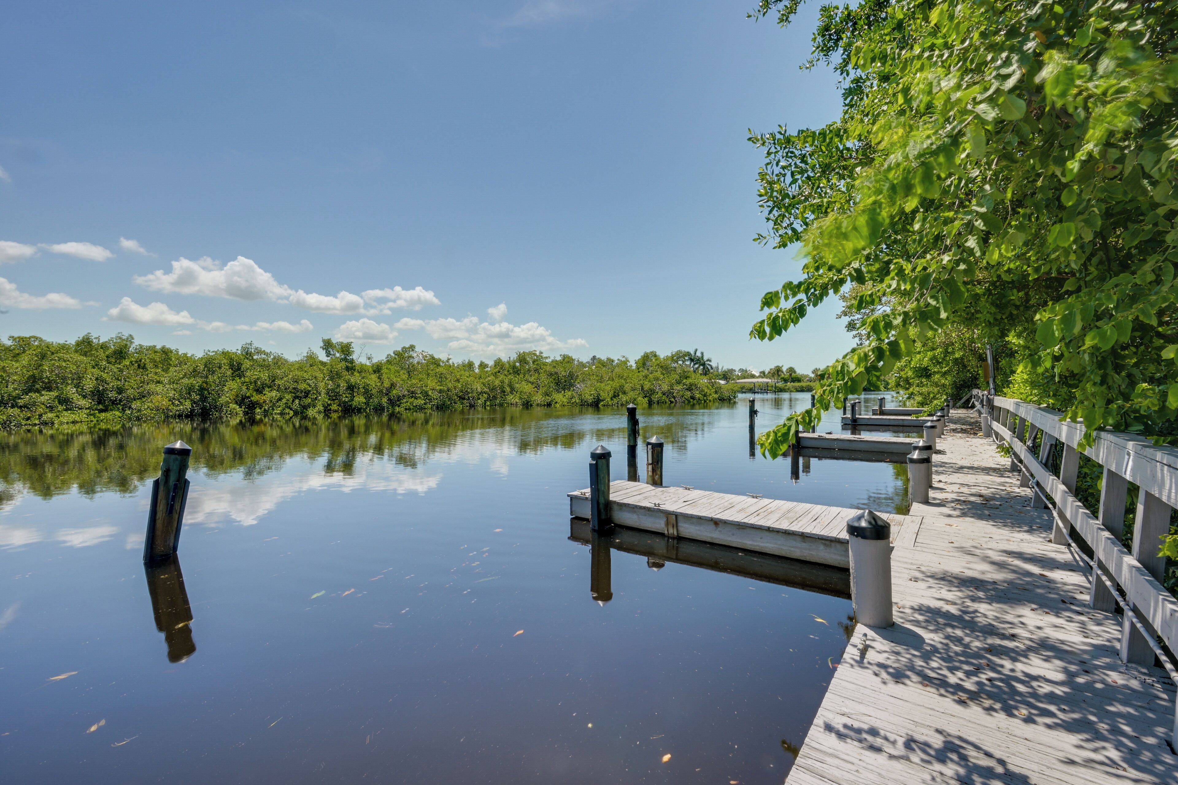 A calm water body with a wooden dock extending into it, surrounded by dense greenery.