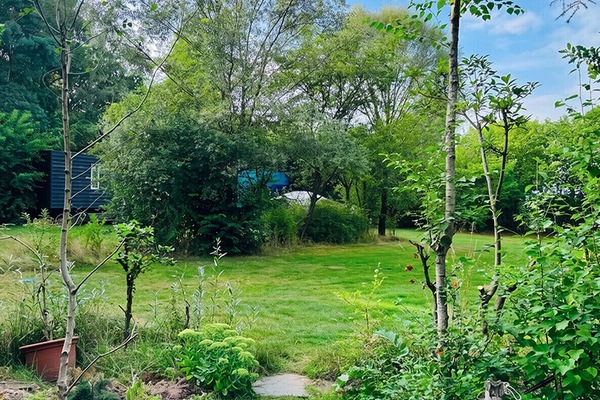 jardin
