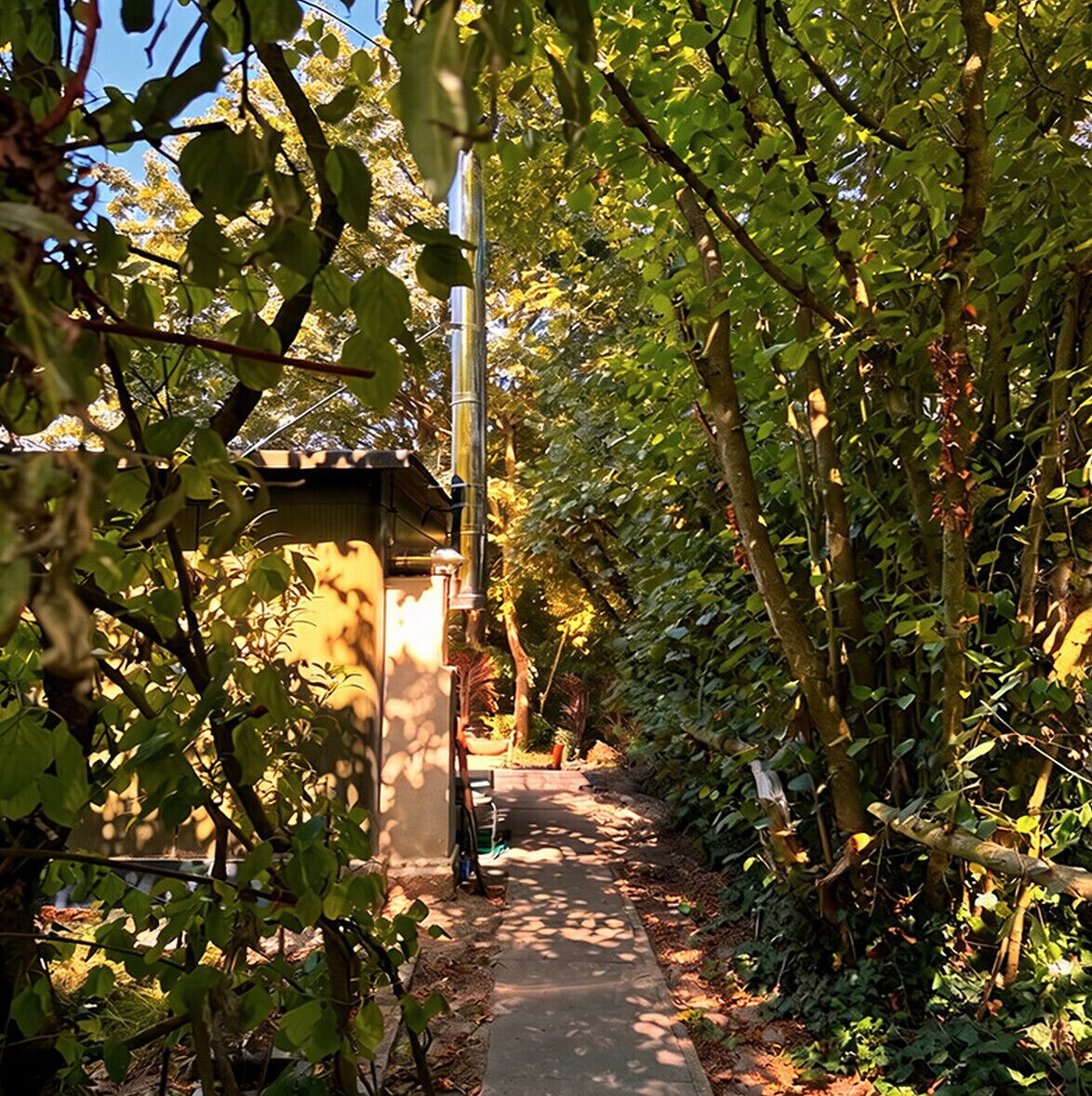 garden