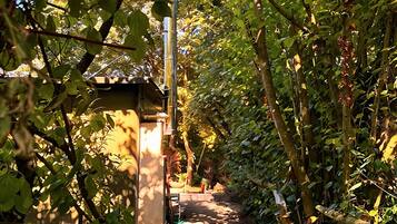 A narrow pathway flanked by dense foliage, leading to a small structure with a sloped roof.