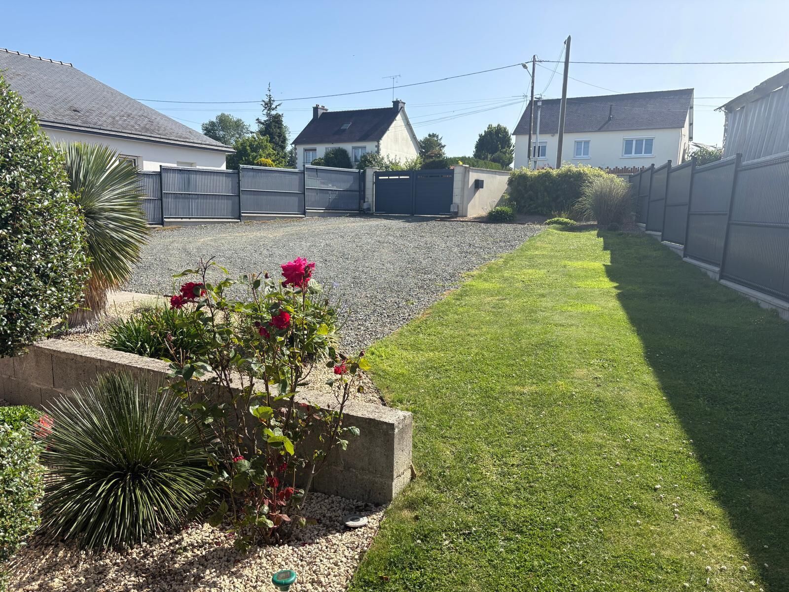 A residential area with a paved driveway, a lawn, and a variety of plants.