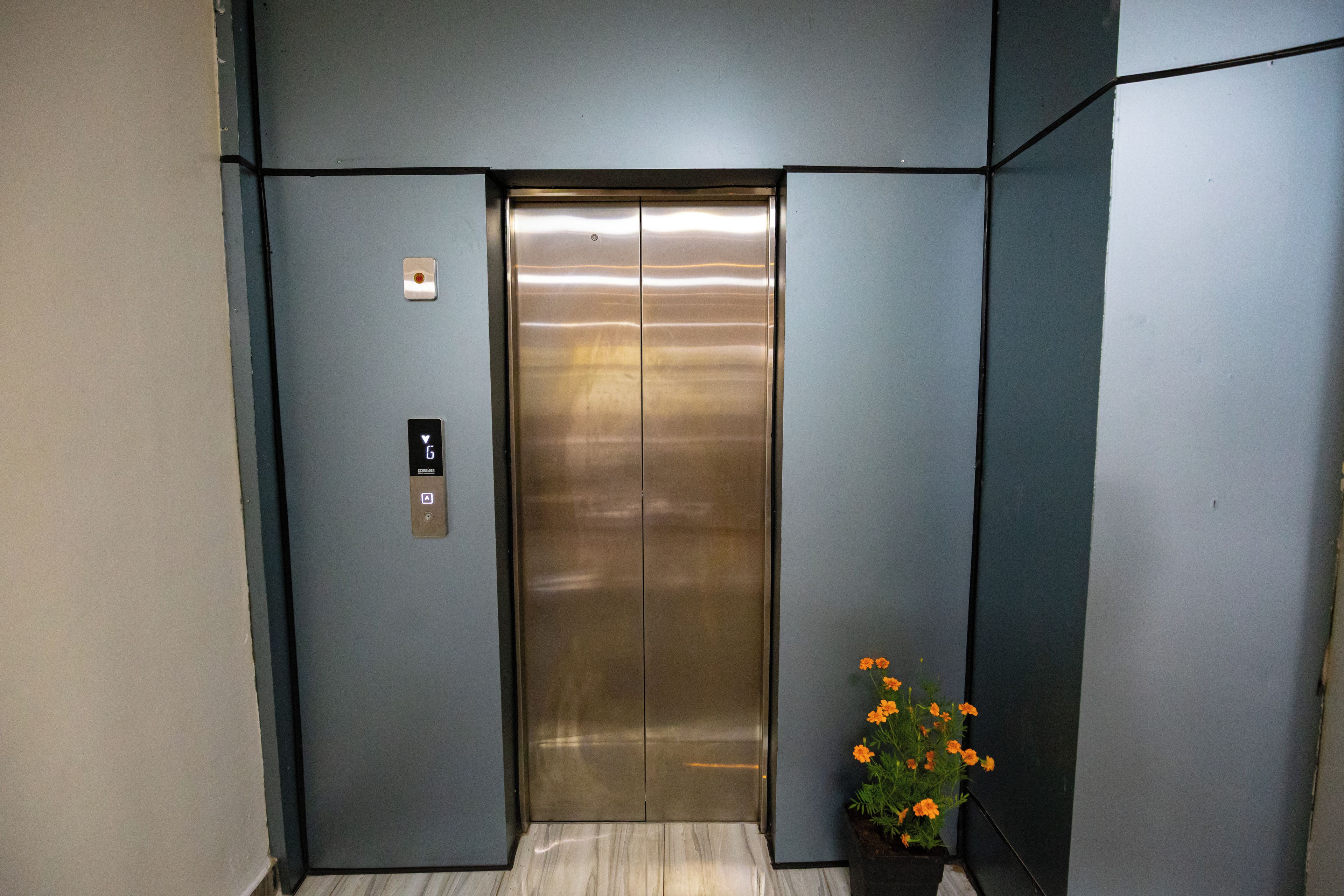 A modern elevator with a metallic finish, control panel with buttons, and a potted plant with orange flowers.