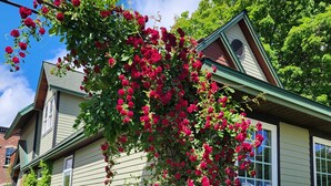 Een huis met een groene gevel, een zichtbaar raam en een weelderige tuin met rode bloemen.