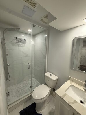 Bathroom - Cozy 1-bedroom Basement studio in welcoming Mississauga with AC (Mississauga)