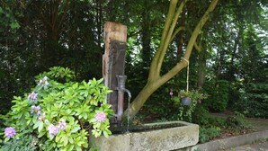 A rustic outdoor water feature with a wooden structure, surrounded by lush greenery and flowering plants.