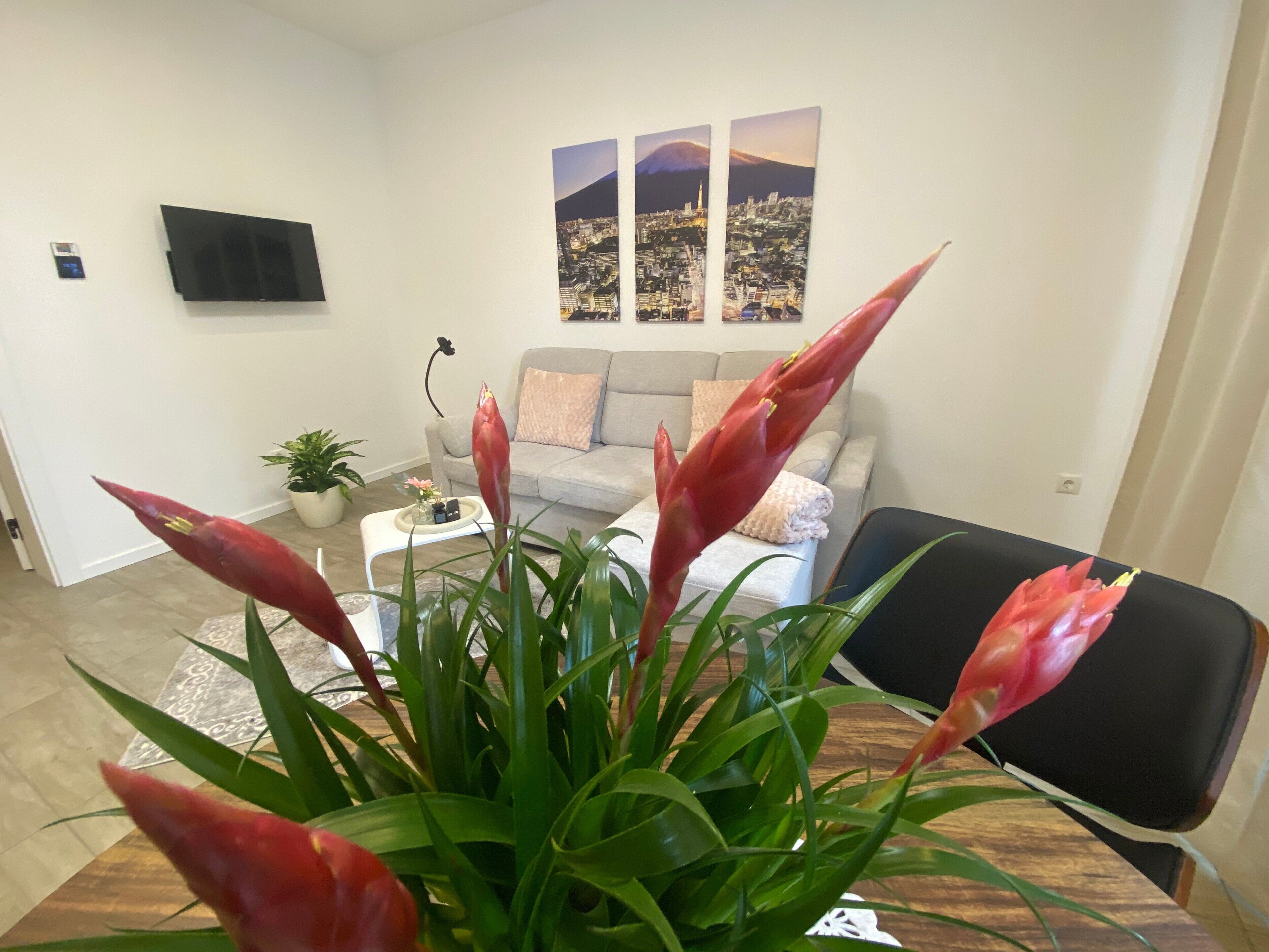 A living room with a sofa, a coffee table, and a plant with red flowers.