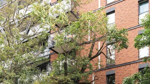 Un edificio de varios pisos con fachada de ladrillo, un parquímetro y dos coches estacionados en la calle.