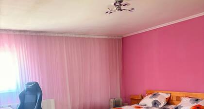 Mountain House in Ursad with Jacuzzi, Large Garden, Gazebo & BBQ