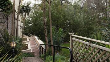 A paved pathway leading to a building entrance, surrounded by palm trees and a wooden fence.