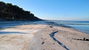 A beach with a wooden pier extending into the water, surrounded by trees. - Vacation home with a fireplace and sauna, about 400 meters from the sandy beach; pets welcome (Glowe)