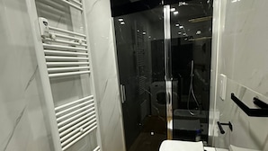 Shower, hair dryer, bidet, towels