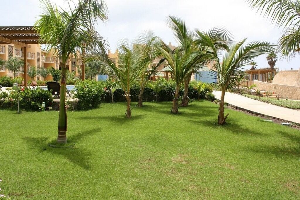 A courtyard with palm trees, a swimming pool, and a building with balconies.