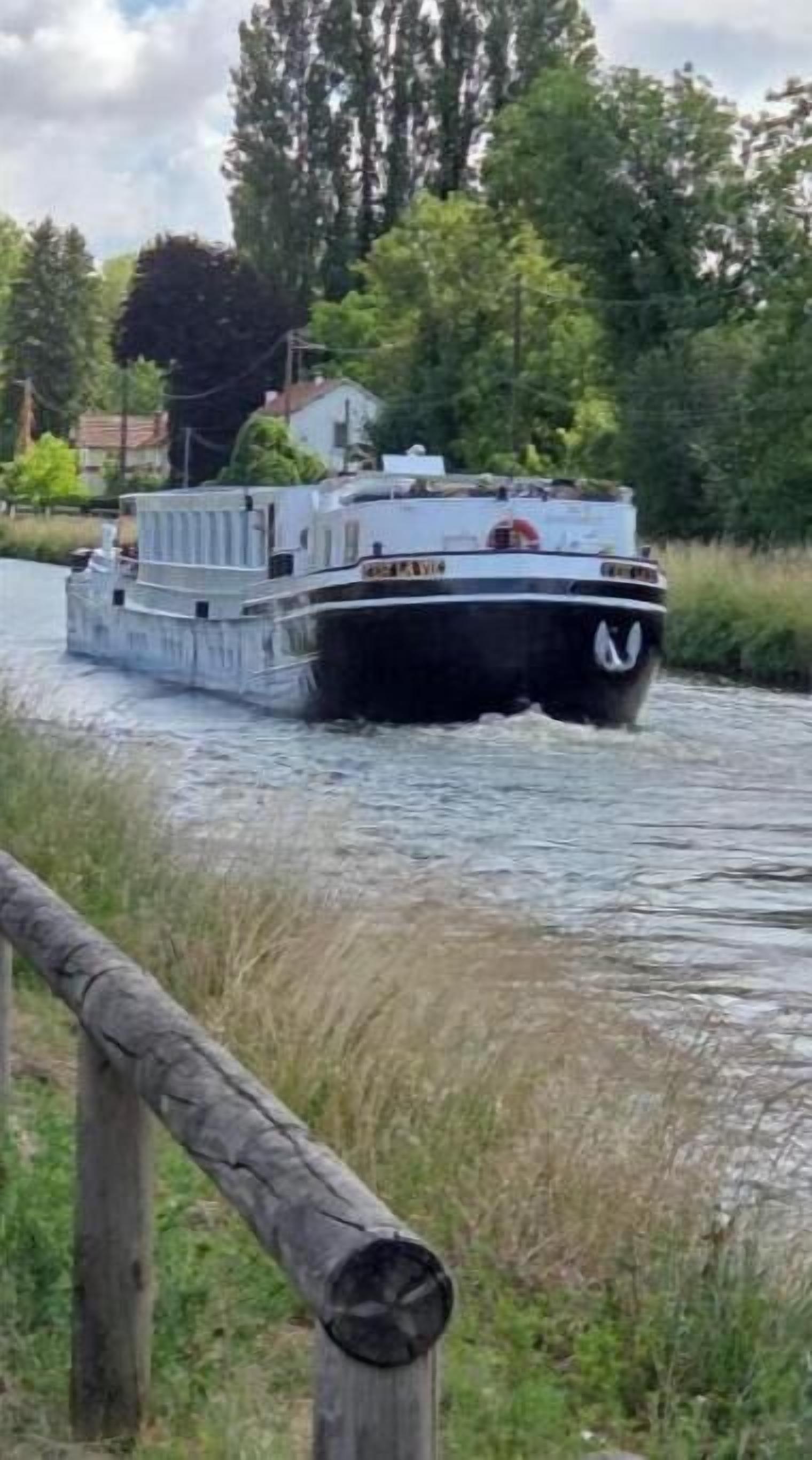 Miscelánea