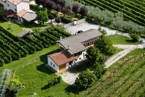 A large house with a spacious yard, surrounded by a vineyard.