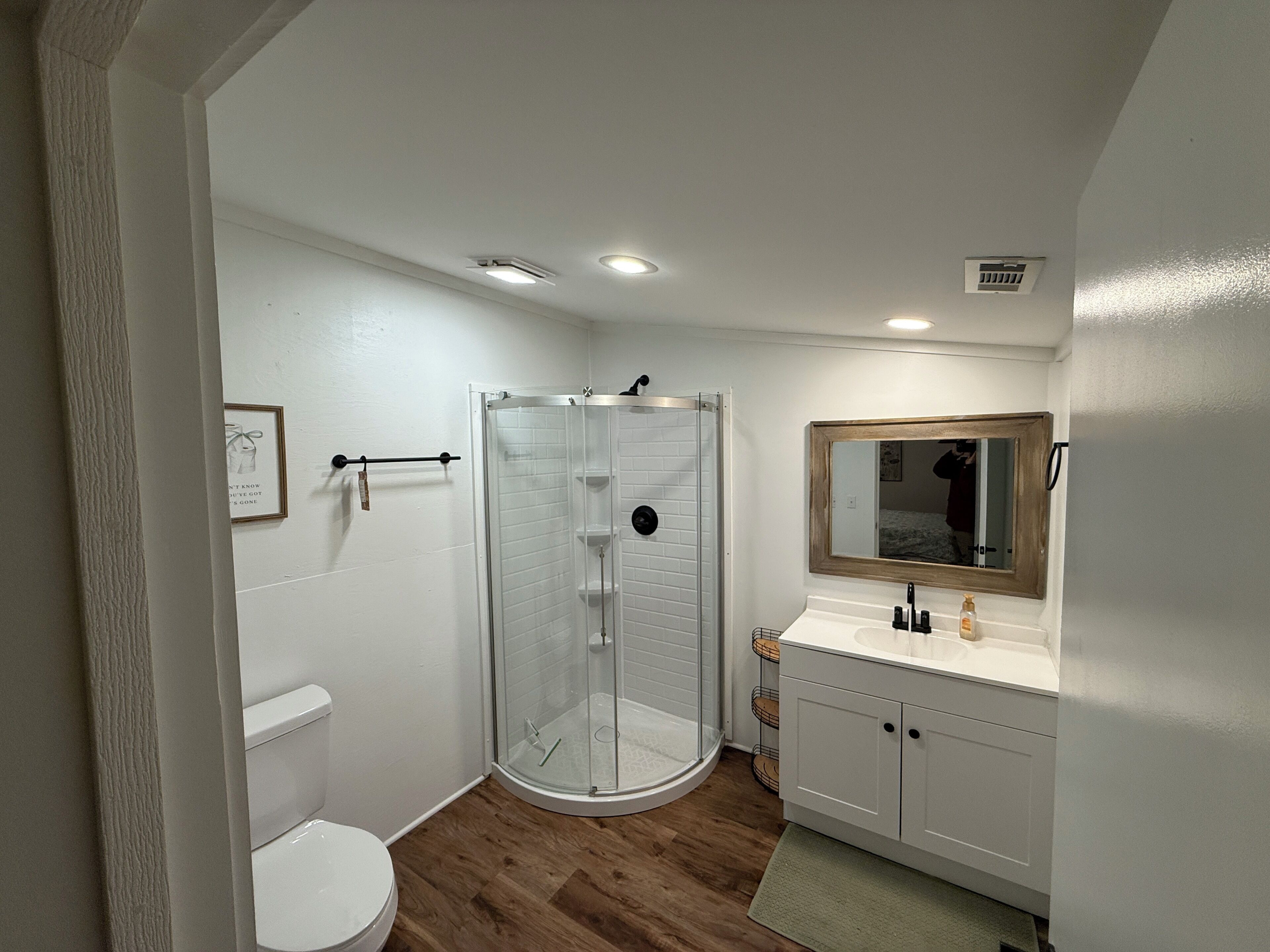 A bathroom with a glass-enclosed shower, a toilet, a sink with a mirror, and a framed picture on the wall.