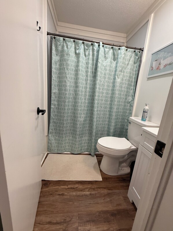 A bathroom with a shower curtain, toilet, and a small rug.
