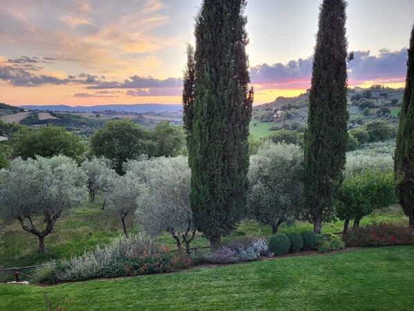 A landscape with tall trees, a grassy field, and a distant view of hills. - Stone House with Pool: LE CASELLE (Saragano, Gualdo Cattaneo)