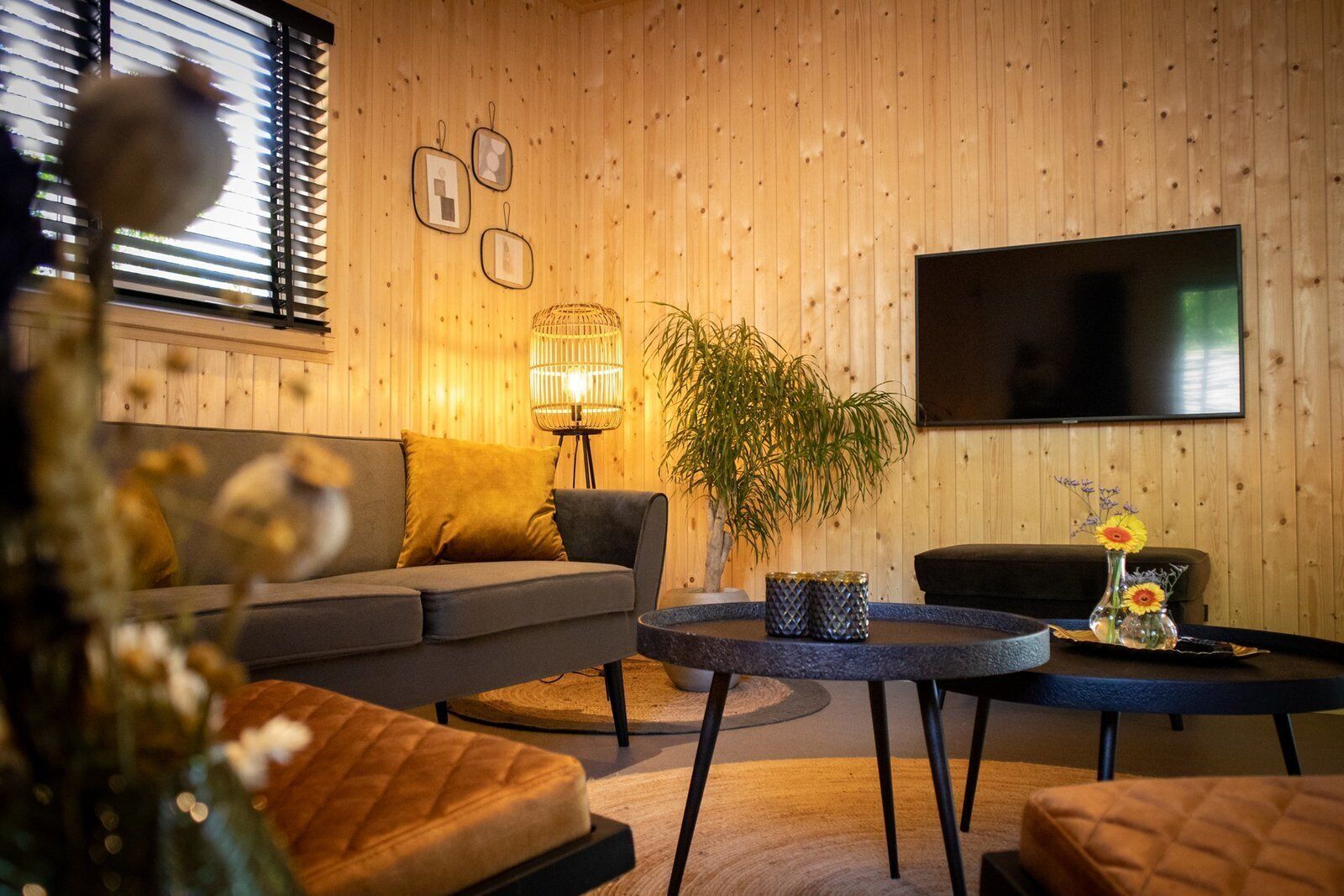 Een moderne woonkamer met een bank, twee fauteuils, een salontafel, een vloerlamp, een televisie en een potplant.
