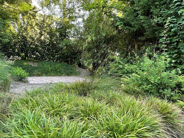 A garden with a stone pathway, dense greenery, and a variety of plants. - Wingerd Farm - Group Accommodations   (Bruchterveld)