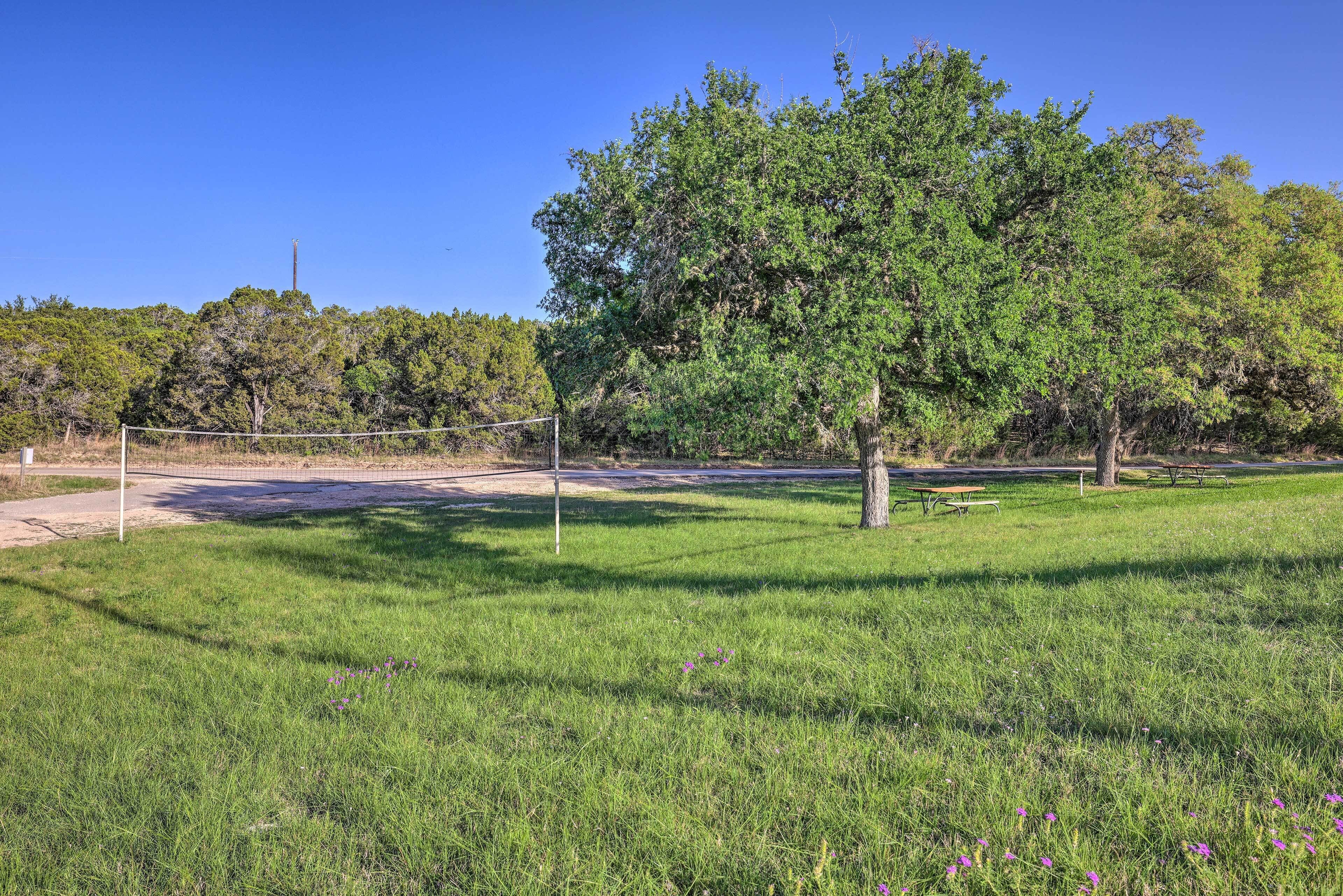 A park with a volleyball net, picnic tables, and a large tree.
