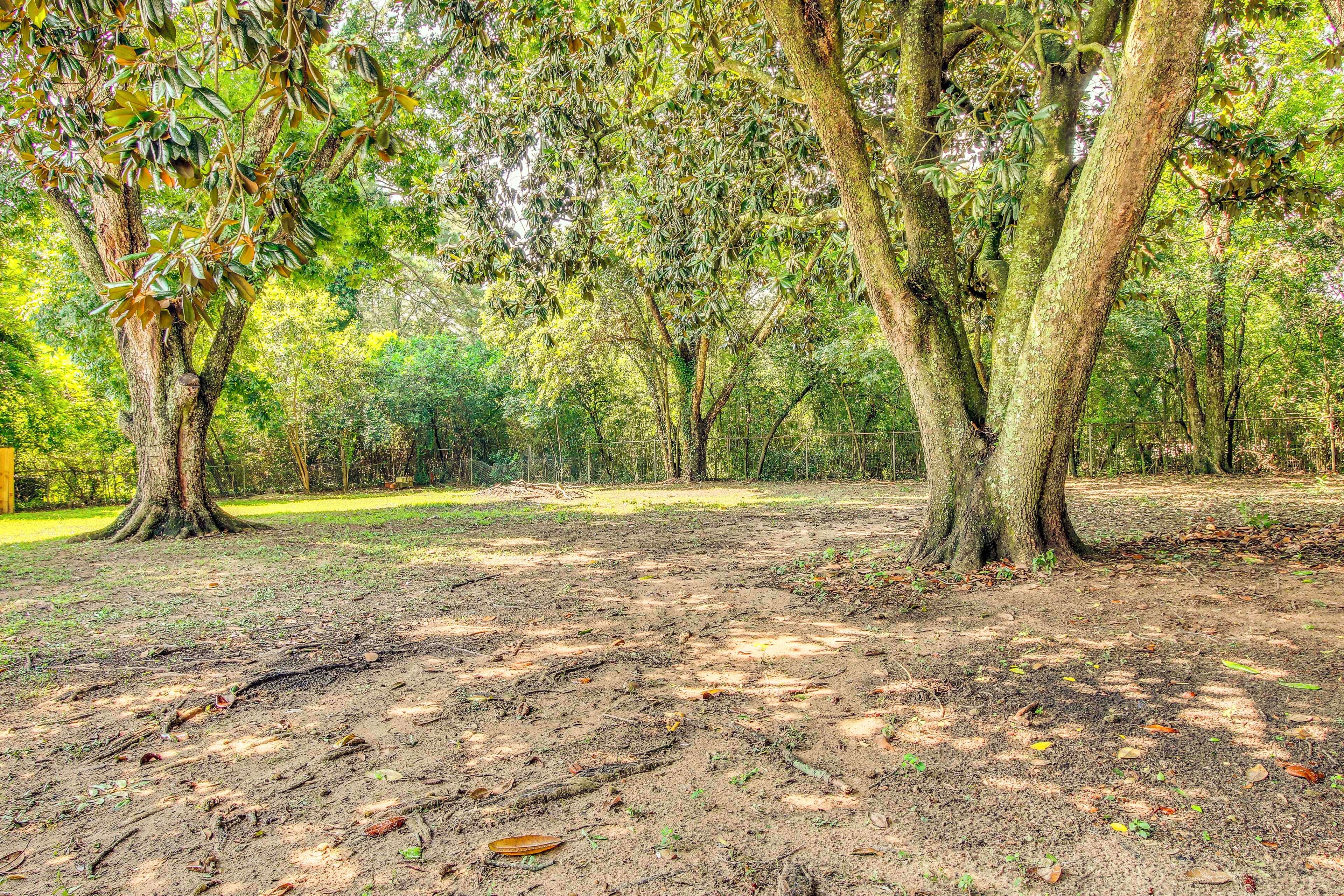 A forested area with trees and a dirt ground.