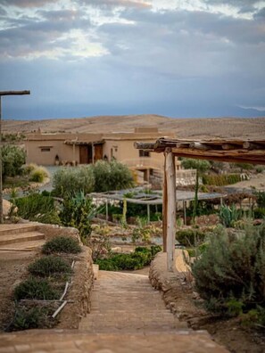 Un sendero en un jardín que lleva a un edificio con pérgola, rodeado de plantas diversas y un paisaje montañoso.